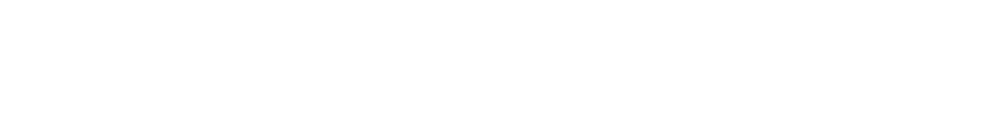 THE BRAVE SOULS